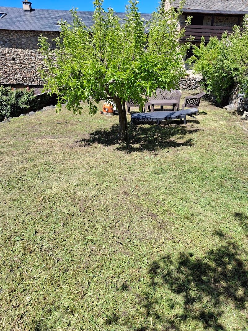El Pi - Venda de llenya i jardineria