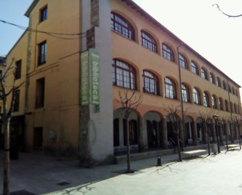 Neteges Cerdanya Pirineus